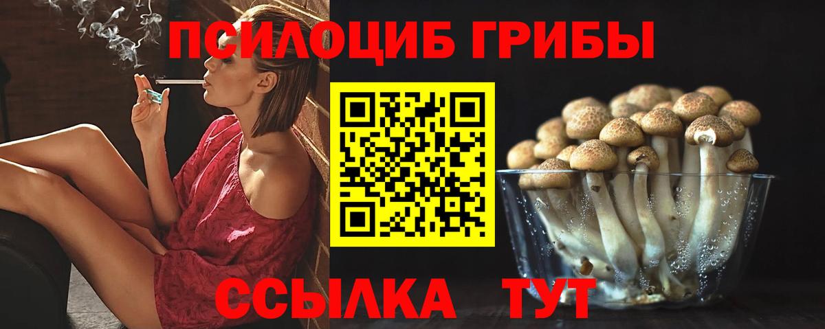 Шадринск  Псилоцибиновые грибы прущие грибы  Вход с VPN 